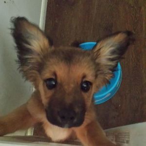 Meet your Posher, Emaleigh